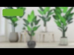 شجرة النخيل المزيفة للمسافرين - 180 سم / 200 سم