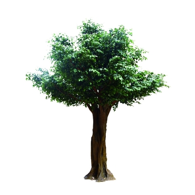 1000cm Height Artificial Banyan Tree Big Ficus For Outdoor Amusement Park