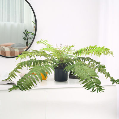 70cm Artificial Fern Tree Indoor Decor Living Room Evergreen Tropical Plant Custom Height