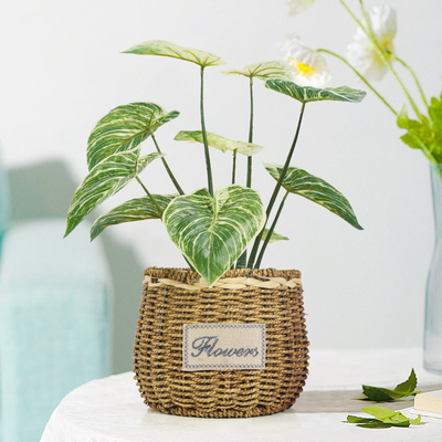 Artificial Small Green Potted Plants 32cm High 37cm Wide Evergreen Table Plants
