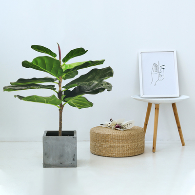 Modern Plastic Fiddle Leaf Fig Home Outdoor Landscaping Garden Decor