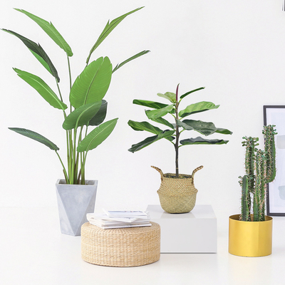 Artificial Fiddle Leaf Fig For Home Outdoor Landscaping Garden Decor