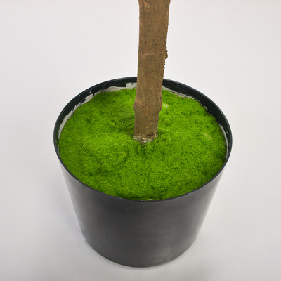 Anti UV Artificial Olive Tree Fresh And Welcoming Mimic Exact Colors Textures Of Real Plants