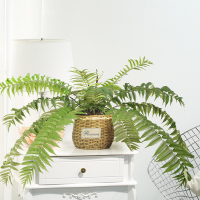 Pu Artificial Potted Floor Plants For Garden Decoration