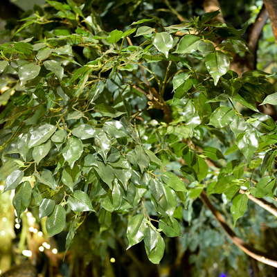 Bespoke Large Fake Ficus Tree Custom Height Foliage Tree 2-20m Evergreen Plant
