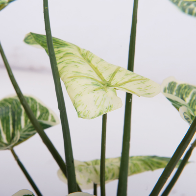 Bedroom Artificial Potted Floor Plants Plastic Philodendron Birkin