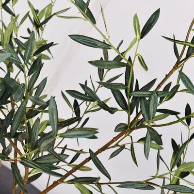 Artificial Indoor Potted Plant Olive Tree 120cm 160cm No Maintennance Floor Plant