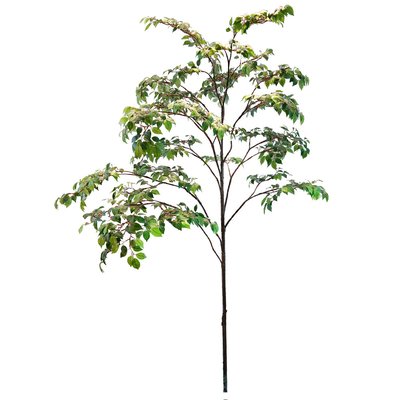 Custom Corner Artificial Ficus Tree Space Decoration Minimalist Style