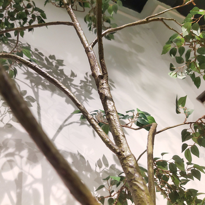 Custom Corner Artificial Ficus Tree Space Decoration Minimalist Style