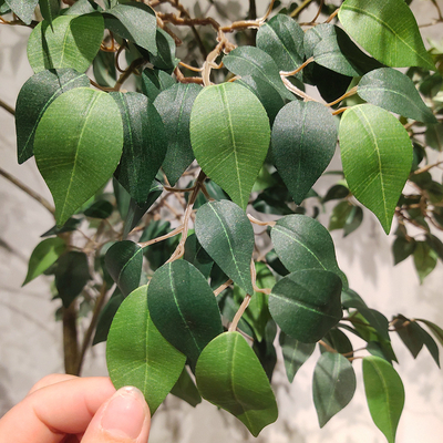 Custom Corner Artificial Ficus Tree Space Decoration Minimalist Style