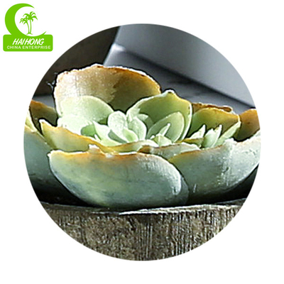 High Simulation 6.5cm Faux Succulent Plants , Small Fake Succulents Luxury