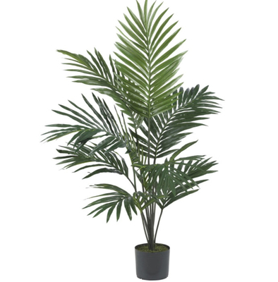 Height 220cm Green Artificial Plant For Indoor Decoration Kentia Palm Tree