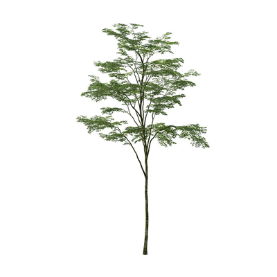 Custom Corner Artificial Ficus Tree Space Decoration Minimalist Style