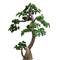 تخصيص فروع شجرة الصنوبر الاصطناعية الكبيرة الديكور الألياف الزجاجية