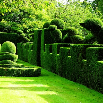 Stunning Artificial Landscape Trees Garden Decoration Topiary Animal Boxwood Green Plant
