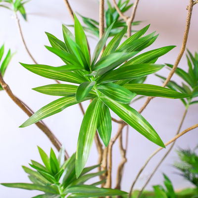 No Caring Artificial Landscape Trees With Lily Bamboo Monstera Small Plants Evergreen