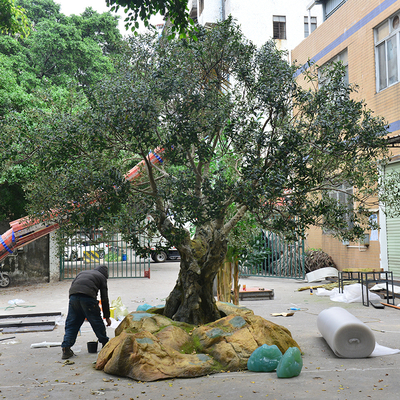 UV-Resistant large 5m customized olive tree artificial with Trunk Realism Realistic Fruits for Hotel Lobbies & Resorts Shopping Mall Luxury Villas