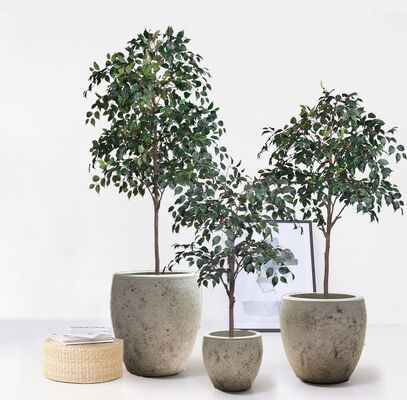 Realistic D-Style Artificial Stereo Ficus Tree | Custom Flame Retardant & UV Resistant Fake Banyan Plant, 120/140/180cm, Uniform Packaging with Black Pot for Commercial & Home Interior Decor